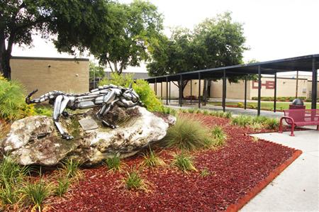 countryside high school